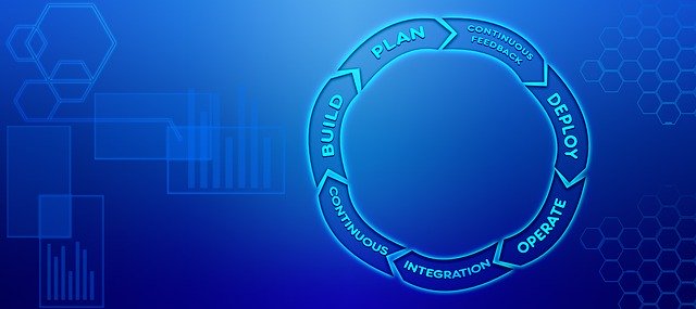 ERP Software Customization