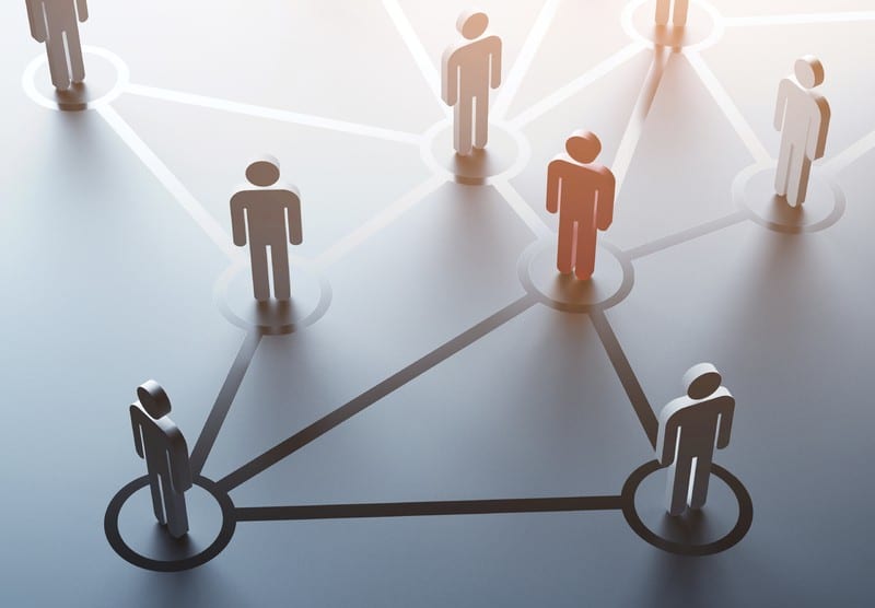 Top 7 Career Paths