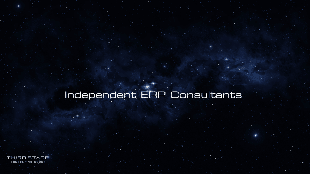 Independent ERP Consultants
