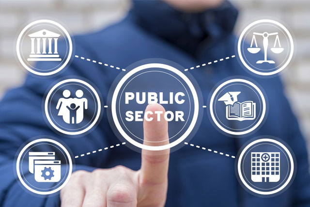 Public Sector Government