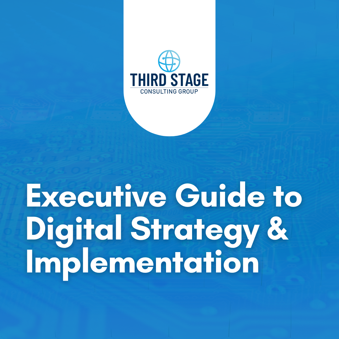 Executive Guide to Strategy_Implementation